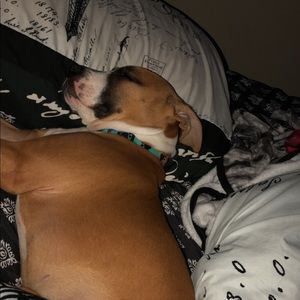 Meet your Posher, Hope